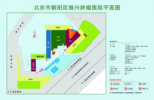 男人的鸡巴捅进女人的逼逼北京市朝阳区桓兴肿瘤医院平面图